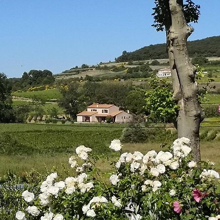 Domaine de Peilhan Roujan Exterior foto