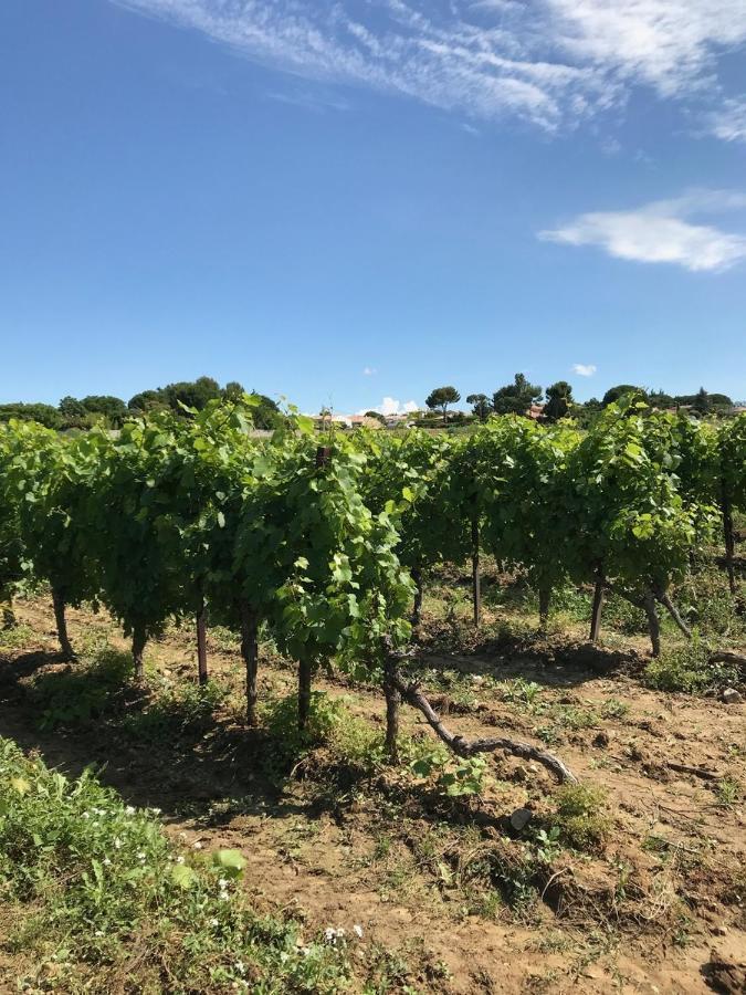 Domaine de Peilhan Roujan Exterior foto