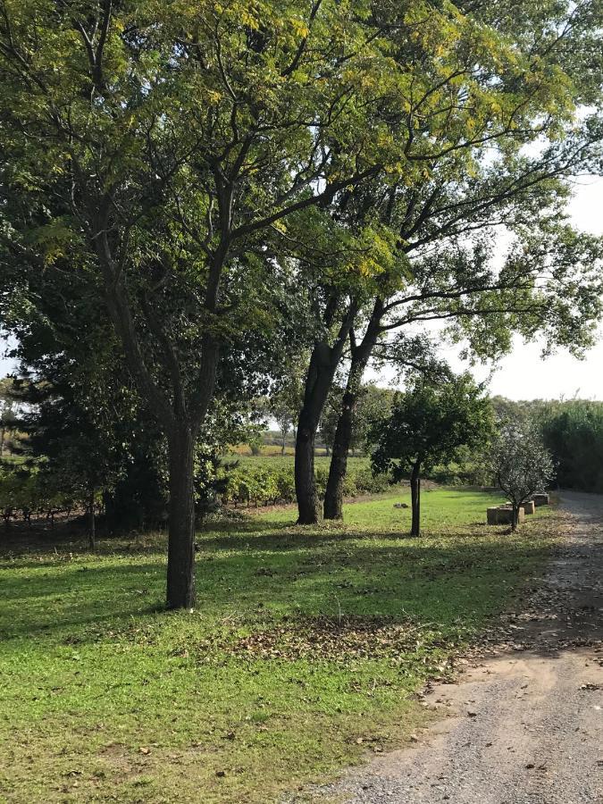 Domaine de Peilhan Roujan Exterior foto